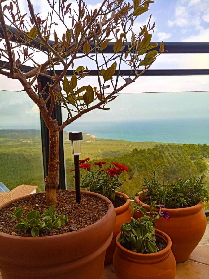 شقة Precioso Atico En La Sierra De Irta Alcossebre المظهر الخارجي الصورة